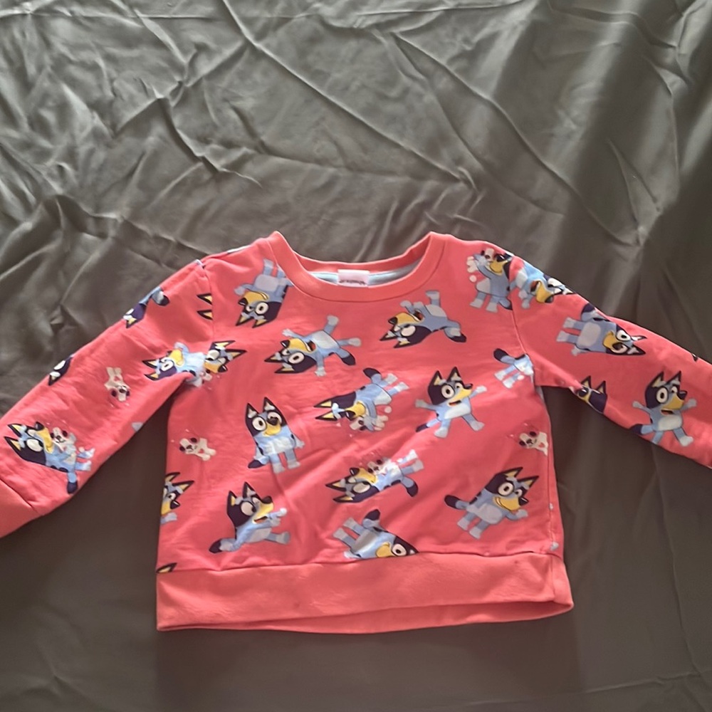 Girls bluey sweatshirt it does run small so more for 3t only worn 1x.